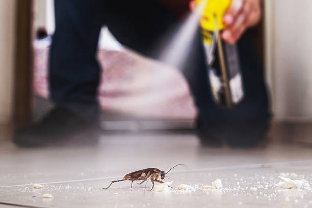 Wasp Removal Services in Chattahoochee Hills, GA